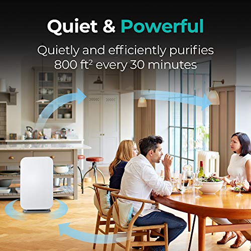 Alen Breathesmart 45I Hepa Air Purifier With Odor Filter, Absorbs Pet Odors, Food Odors, Household Odors, Captures Pet Dander, Allergens, Dust, Mold, Germs. Bedrooms And Other Rooms Up To 800 Sq. Ft., White #TOP1