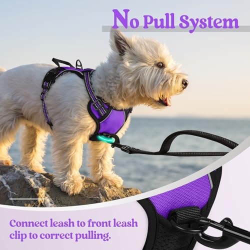 Image of rabbitgoo Dog Harness No Pull with 2 Leash Clips, Adjustable Soft Padded, Reflective Oxford No Choke Pet Vest with Easy Control Handle for Puppy, Purple,XS