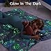 Joiedomi Glow in The Dark Blanket Dinosaur Toys for Kids 3-5 Dinosaur Gifts Toys for Age 2 3 4 5 6 7 8 9 10 11 12 Year Old, Soft Cozy Flannel Kids Throw Blanket, Birthday 50