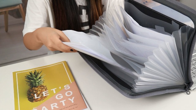 Amazon.com : NAFY Expanding File Folder, 13 Pockets Document