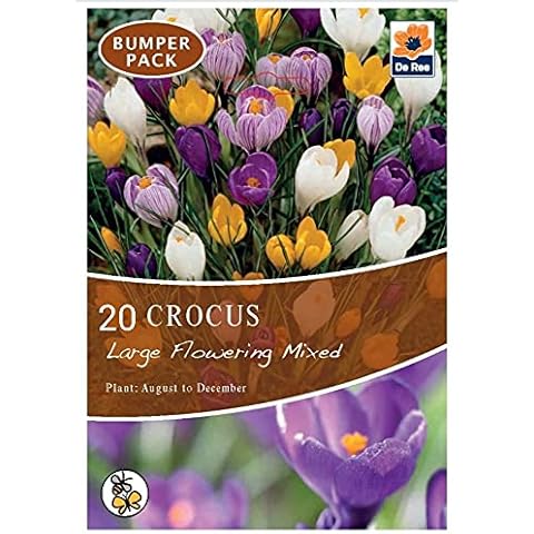 De Ree Crocus Bulbs Large Flowering Mixed (20 Bulbs) Cover