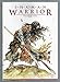 Shaman Warrior Volume 1