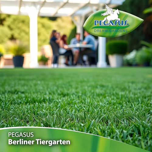 Pegasus Berliner Tiergarten 622302 Rasensamen 1kg , 25 qm - Hohe Belastbarkeit, Schnelle Keimung, Hohes Zierwert, Pflegeleicht, Saatgut, Rasensaat