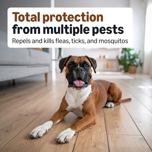 Amazon Basics Preventative Flea, Tick & Mosquito Topical Treatment for Large Dogs (21-55 pounds), 6 Count, Packaging May Vary - Image 4