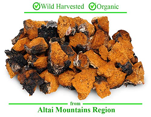 Organic Siberian Chaga Mushroom Chunks From Altai Mountains Region 8 Oz. (227G) #TOP2