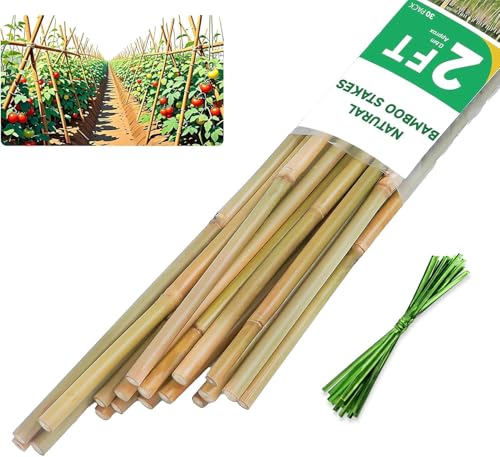 10 Best Wooden Plant Stakes for Supportive Gardening Success 1 Natural Bamboo Plant Stakes for Climbing Plants (25pcs)