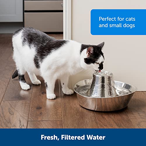 Image of PetSafe Seaside Stainless Steel Cat & Dog Fountain, 60 Oz Water Capacity - 2 Water Filters & 1 Pump Included, Soothing Flow for Pets, Scratch-and Rust-Resistant Material - Quiet Motor (Pack of 4)