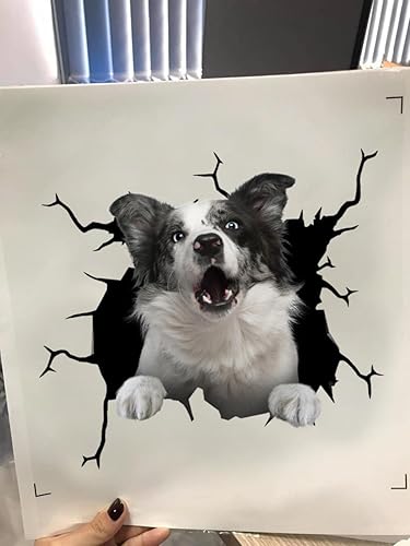 Miniatura 4 de Pegatinas de perro Border Collie Border Collie para ventana de coche, calcomanía de camión de advertencia para caras divertidas Vinal Truck