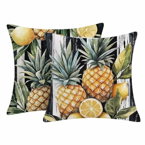 Genérico Fruta Funda Cojines Exterior Impermeable 45x45cm Funda de Cojines Piña Sofa Decorativo con Cremallera Oculta para Cama Decoración Sofás Sala de Estar Dormitorio Exterior Juego de 2-2775