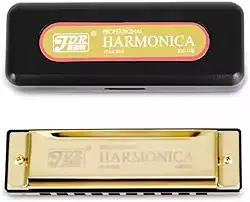 Gaita de Boca Diatônica JDR – 10 Furos 20 Vozes em Dó (C) com Estojo – Harmônica Profissional para Blues, Folk, Iniciantes e Músicos (Dourado)