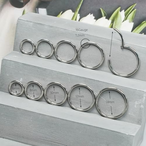 Surgical Steel Septum Rings Hinged Clicker earring hoops Segment Silver/Gold 5Pair/10PCS 16G/18G Nose Ring Lip Ring Hoop Earrings Sleeper Cartilage Daith Piercing Jewelry 6mm 8mm 10mm 12mm 14mm set for Women/Men2