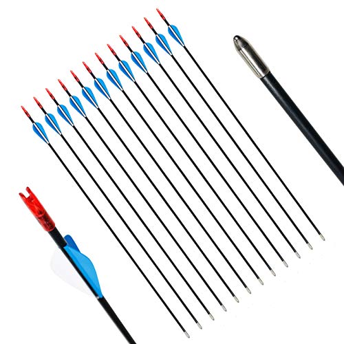 SinoArt 29 Inch Fiberglass Arrows Archery Target Practice Arrows or Youth Arrows for Recurve Bow(12 Pack)