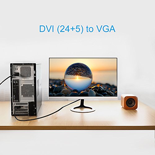 ELUTENG Cavo da DVI a VGA 1080P Maschio a Machio