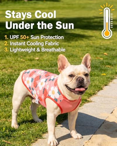 Image of CuteBone Mesh Panel Dog Tank Top - Breathable Dual-Fabric Pet Vest Lightweight Summer Small Dog Shirts - Keep Your Pets Cool, Sun-Protected Outdoors