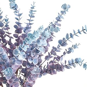 5 Pcs Soft Touch Artificial Eucalyptus Leaves Spray Fake Silver Dollar Greenery Stems for Home Wedding Floral Arrangement, Blue 5 Pcs Soft Touch Artificial Eucalyptus Leaves Spray Fake Silver Dollar Greenery Stems for Home Wedding Floral Arrangement Blue