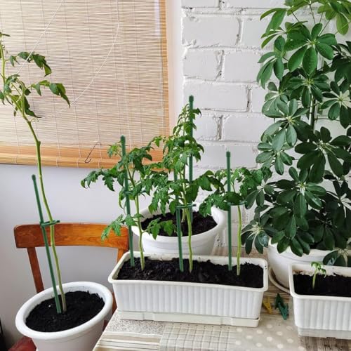 Image of HASTHIP 16Pcs Plant Support Stakes Set with Cable Ties, 45cm & 30cm Upright Plant Support Stake, 6.3mm Dia Weatherproof Reusable Glass Fiber Plants Support Rods for Gladiolus, Chili Peppers