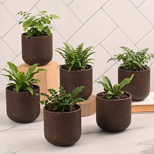 Image of Eha Earth-Friendly Terrapod Planters for Home Decor | 3.5 Inch, Pack of 6 | Small Plant Pot Made with Rice Husk Biocomposite | Flower Pot for Living Room | Coffee
