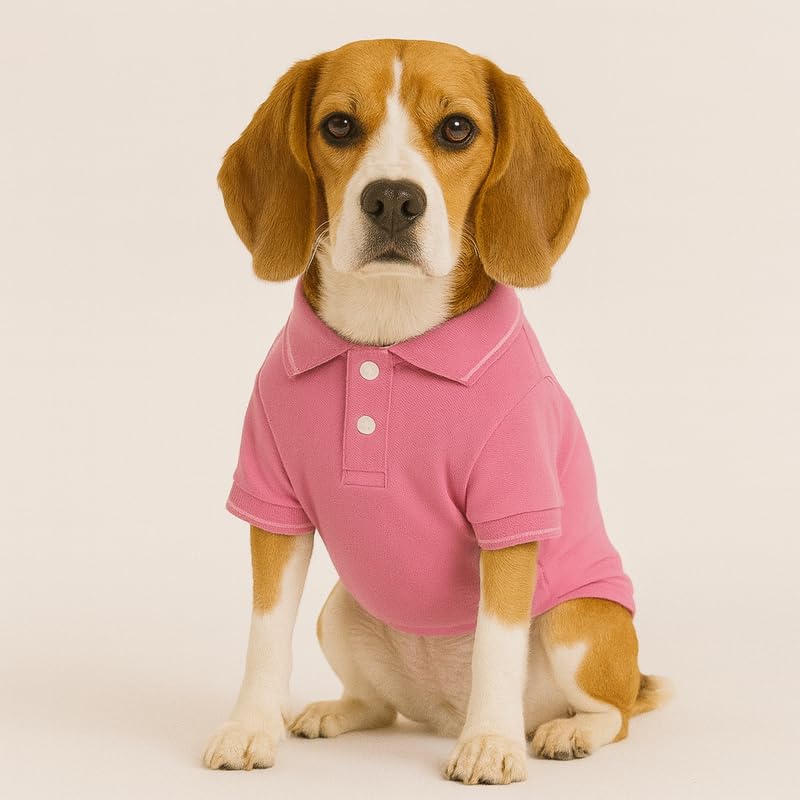 Image of Thunder Tails Premium Cotton Polo Dog T-Shirt | for Medium Dogs | Pink | 2XL | for Cocker Spaniel, Hound, Beagle & Corgi