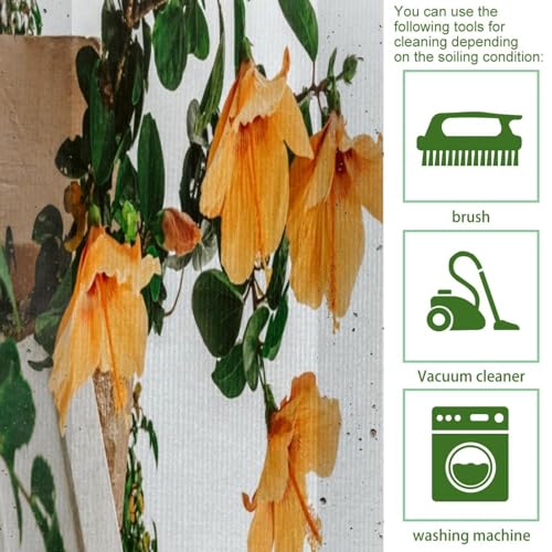 Tapis de cuisine lavable lot de 2 protecteurs absorbants pour le couloir