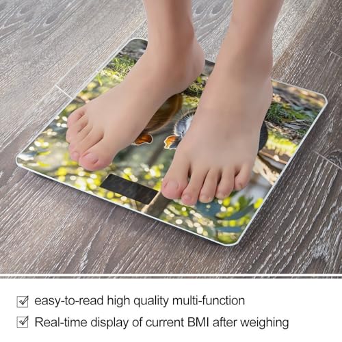 Báscula digital para baño con vidrio templado y pantalla LCD miniatura 5