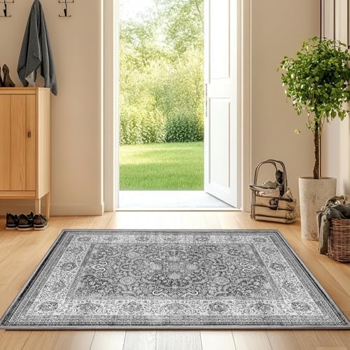 Washable Indoor Doormat 24