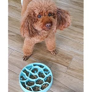 8-Inch-Slow-Feeder-Dog-Bowl-Polypropylene-Anti-Gulping-Healthy-Eating-Pet-Feeder-12-oz-Medium-Breeds-BPA-Free-Dishwasher-Safe-Multiple-Color-Choices - Cucciolini Doodles   8-Inch-Slow-Feeder-Dog-Bowl-Polypropylene-Anti-Gulping-Healthy-Eating-Pet-Feeder-12-oz-Medium-Breeds-BPA-Free-Dishwasher-Safe-Multiple-Color-Choices