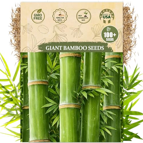 Premium Bamboo Seeds for Planting – 100+ Heirloom, Non GMO Giant Bamboo Plant Seeds (Bamboo Seed Pack) for Garden, Indoor/Outdoor Pots, Privacy Screen & Ornamental Grass Growing