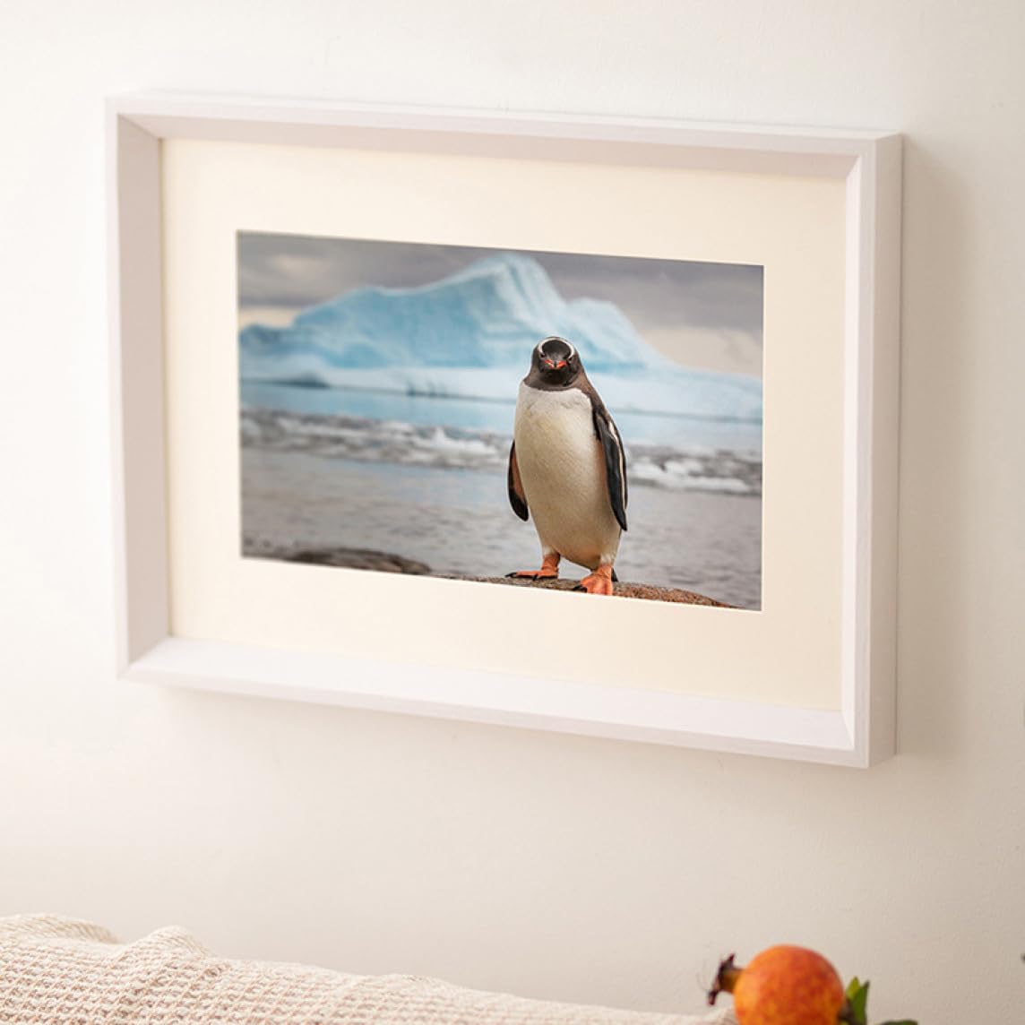 Amazon.co.jp: [XYJP] フォトフレーム ブラウン ホワイト ラッピング