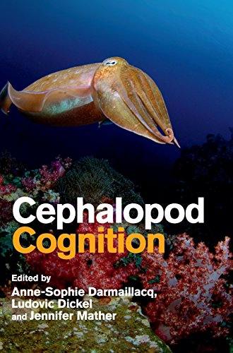 Cephalopod Cognition view 2