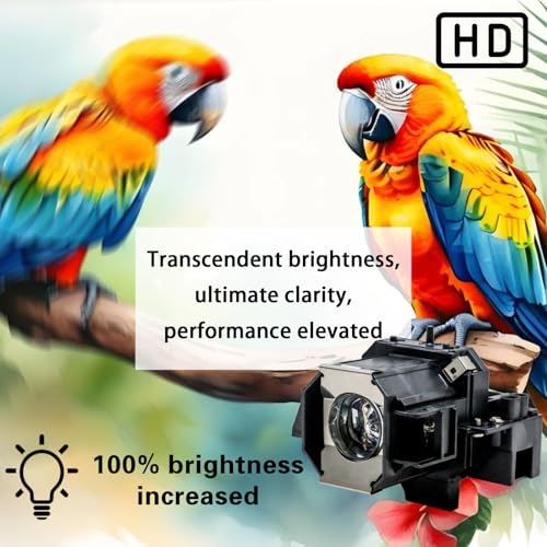 Image of V13H010L39 Replacement Projector Lamp Bulb for Epson ELPLP39 EMP-TW1000 EMP-TW2000 EMP-TW700 EMP-TW980 PowerLite Home Cinema 1080 PowerLite Home Cinema 1080UB PowerLite with Housing