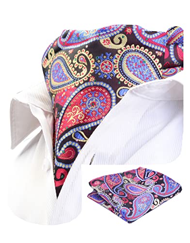 Image of MIPPO Men's Ascot Paisley Floral Jacquard Woven Gift Cravat Tie