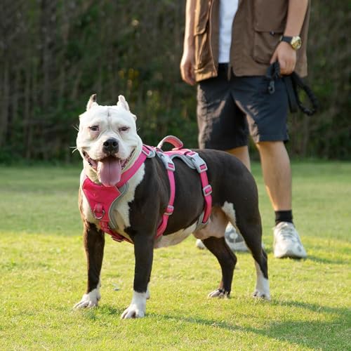 Hunde Sicherheitsgeschirr, Hundegeschirr kleine hunde, Reflektierendes Geschirr mit Gepolstertem Griff, Wasserdicht, Verstellbare Weste für Kleine Hunde Zum Gassi Gehen, Trainieren (Rosenrot,S)
