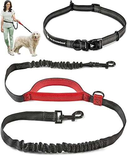 Exquisite Hands-Free Dog Leash for Large Dogs