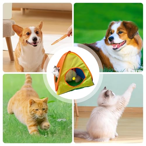 Tienda de campaña para gatos interactiva y plegable para terraza 4