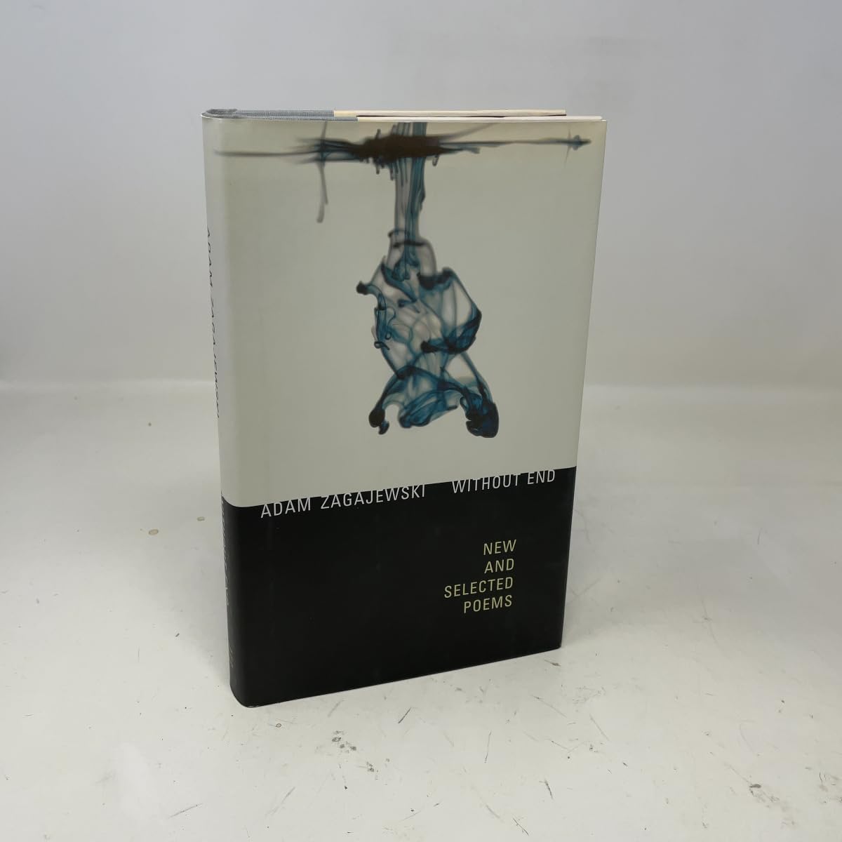 Without End Zagajewski, A - PT06