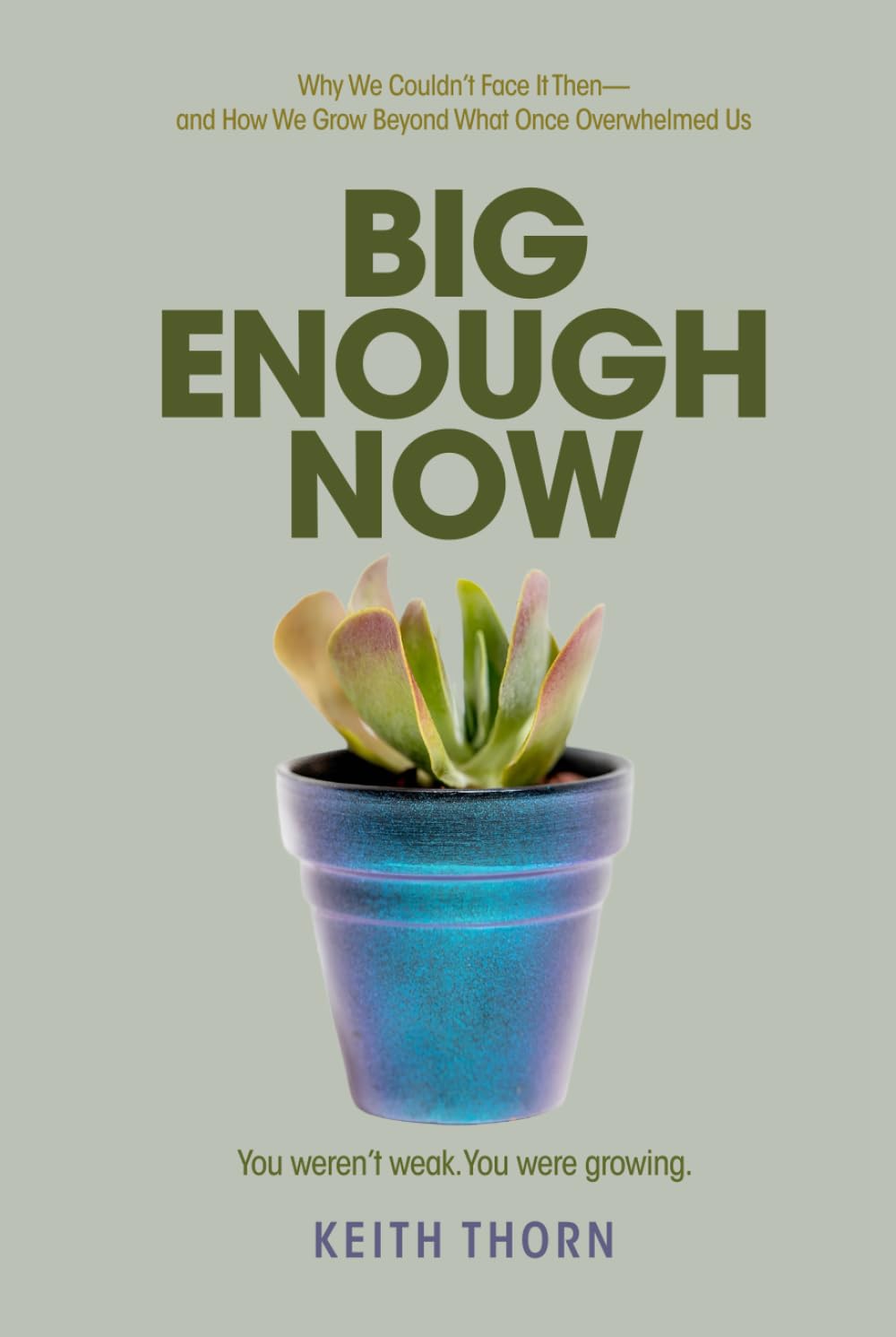 BIG ENOUGH NOW: Why We Couldn’t Face It Then—and How We Grow Beyond What Once Overwhelmed Us (The Way Forward Series: Practical Wisdom for Life's Hardest Questions)