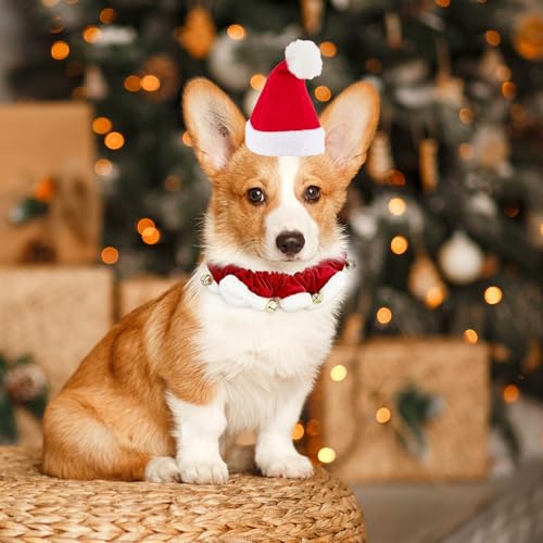 hoyuwak Sombrero y Collar de Santa para Perro Mediano o Pequeño miniatura 6