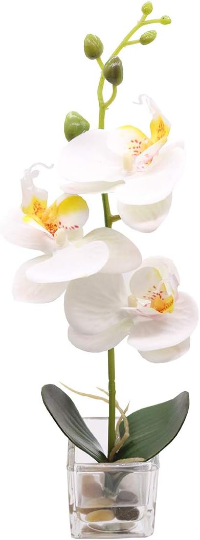 Mini Artificial Flowers Bonsai Lifelike Real Touch Arrangement Phalaenopsis Silk Orchid Wedding Party Home Centerpiece Décor