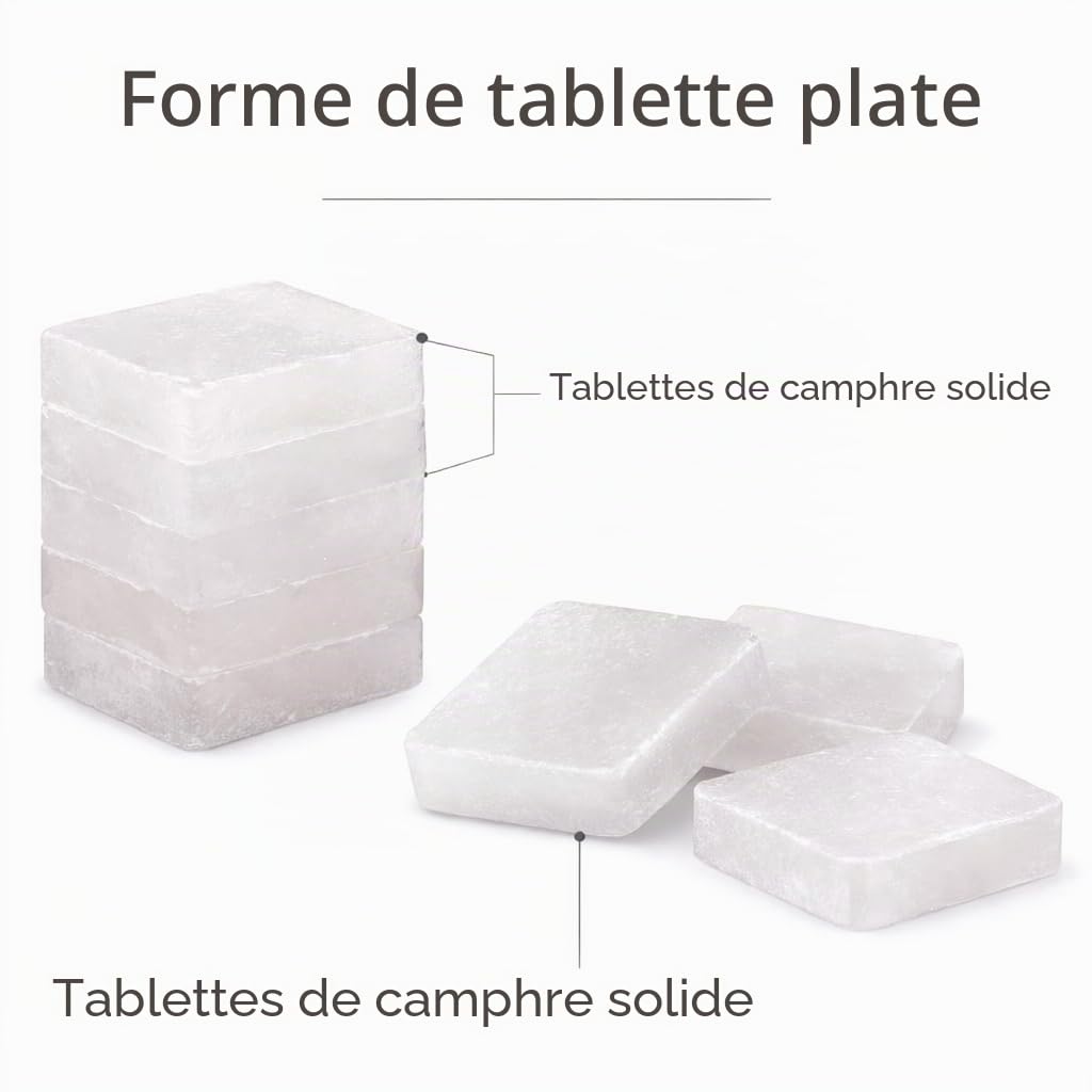 Camphre naturel blocs et cubes 300g pour Pooja Santeria religieux indiens