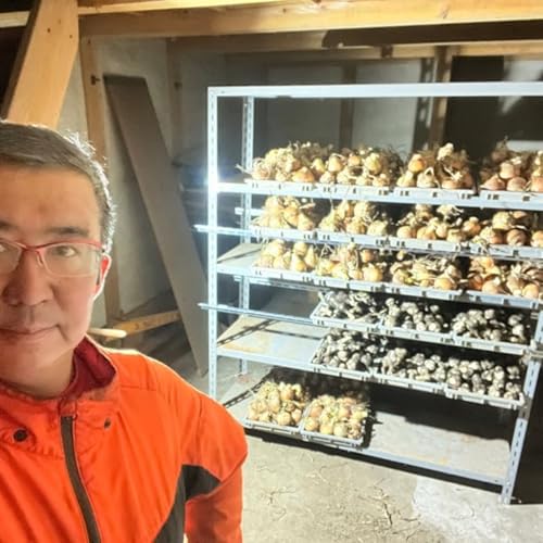 #740玉ねぎの長期保存チャレンジ 蔵の中に棚を作っています