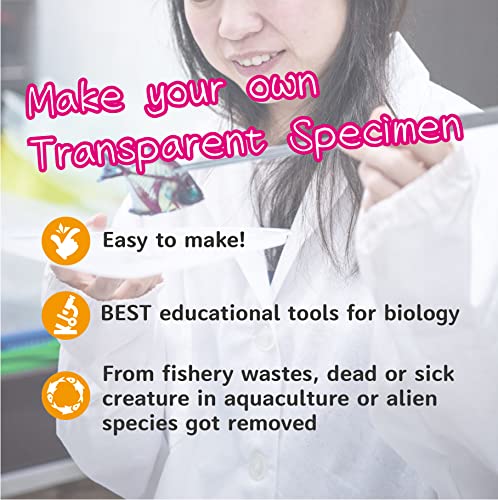 Image of DIY Transparent Specimen Kit, Fish