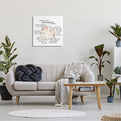 Image of 'Anatomy of Seashell Educational Marine Life'| Canvas Art | Stupell Industries | 24 x 24 Inches, Easy to Hang and Sturdy, Made in USA, by Dishique