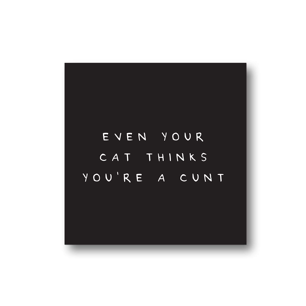 LEMON LOCOEven Your Cat Thinks You're A Cunt Magnet | Rude Offensive Square Fridge Magnet For Cat Owner, Funny Adult Humour Joke Deadpan Gift For Home