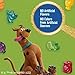 Scooby-Doo Fruit Flavored Snacks, Gluten Free, Kids Snacks, Value Pack, 22 Ct, 17.6 oz