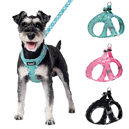 Top 10 Dog Harnesses For Walking of 2022 Katynel