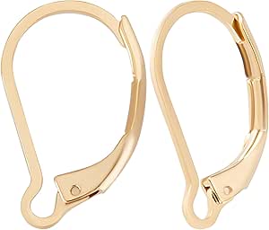 Beebeecraft 20 Schleifen Ohrringhaken - Platiniert, Mit Aufbewahrungsbox, DIY Schmuck