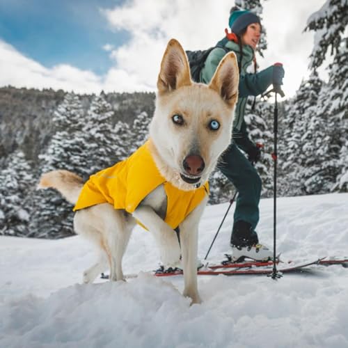 RUFFWEAR Vert mittelgroße Hunde-Regenjacke, isolierter Allwetter-Hundemantel, wasserdichte Hundejacke, leichte wetterfeste Hundeweste und Winter-Hunde-Regenmantel, Größe M, Mineralgelb