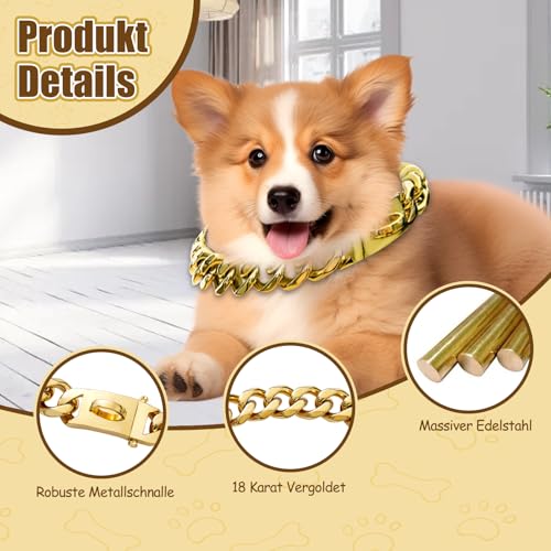 Kettenhalsband Hund, Goldenes Hundehalsband Kette Mit Metallkette, 15mm Breite Cuban Dog Collar, Rostfreier Stahl Halskette Hund mit Schnalle Für Kleine Mittlere Und Große Hunde (45cm)