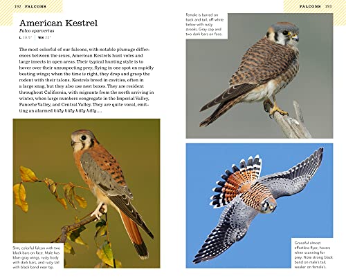 American Birding Association Field Guide to Birds of California (American Birding Association State Field) - Image 7