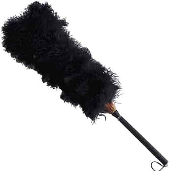 51rf9hZFNPL._AC_UF350,